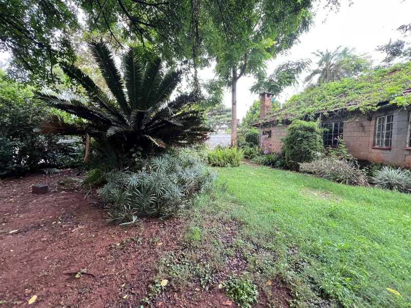 3-Bedroom Bungalow for Rent – Garden Estate