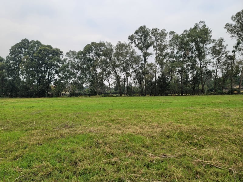 Exclusive 0.5 Acre Plot for Sale in Garden Estate