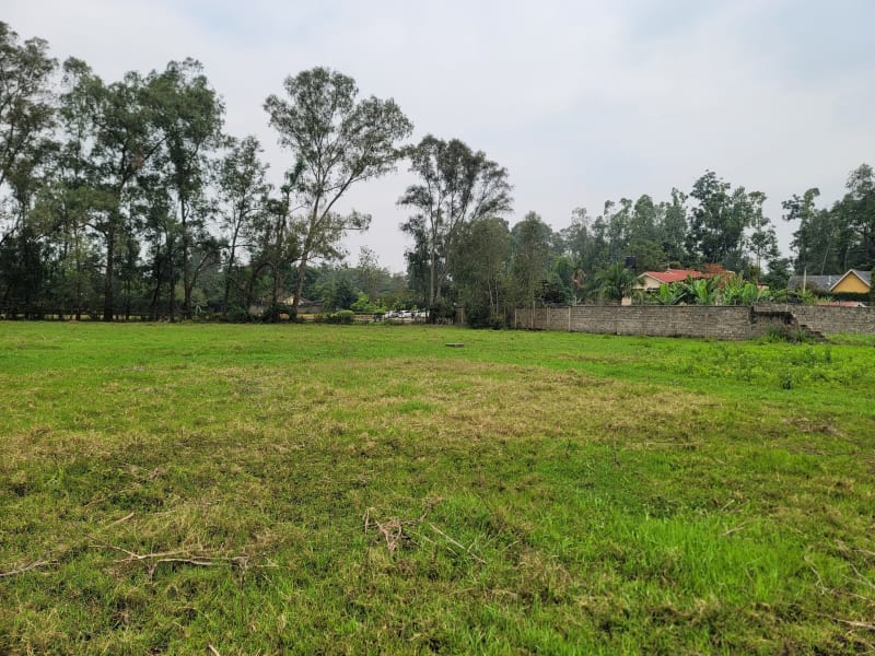 Exclusive 0.5 Acre Plot for Sale in Garden Estate