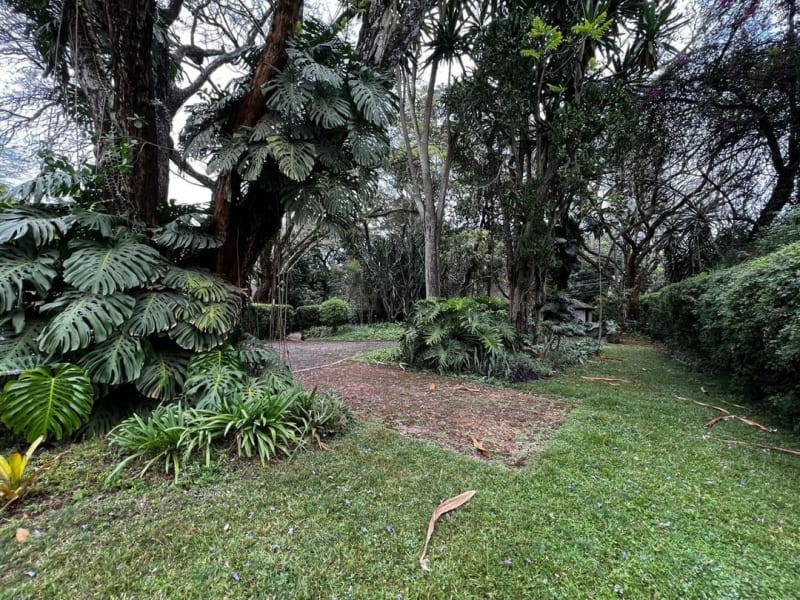 Prime 0.755-Acre Property for Rent on Riara Road